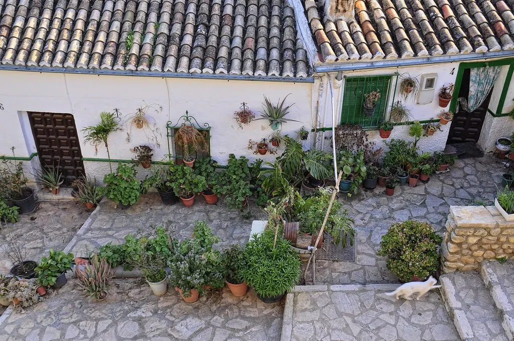 Patio con flores en Antequera