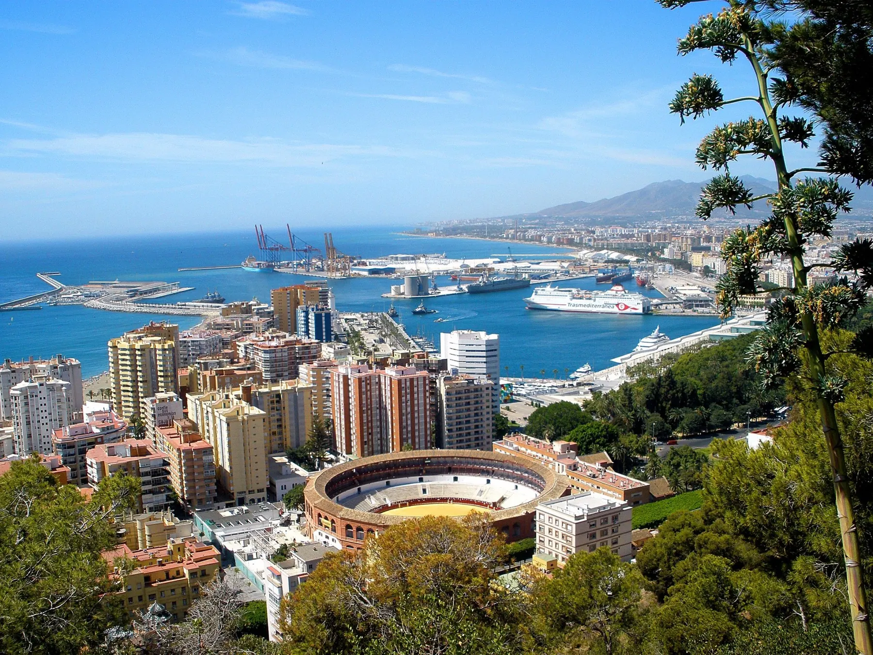 Mirador sobre Málaga y sus montes con una gaviota en primer plano